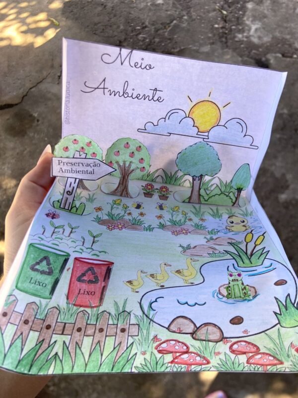 Meio Ambiente - Image 2