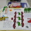 Combo Lúdico Primeira Guerra Mundial - Image 3