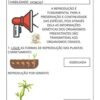 Atividades Autismo Ciências 6º ao 9º ano - Image 2