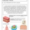 Atividades Autismo Ciências 6º ao 9º ano - Image 3