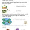 Atividades Autismo Ciências 6º ao 9º ano - Image 4