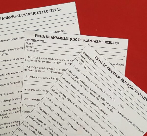 Povos Originários - Ficha Anamnese - Image 3