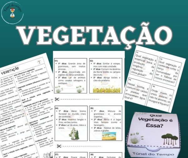 Vegetação