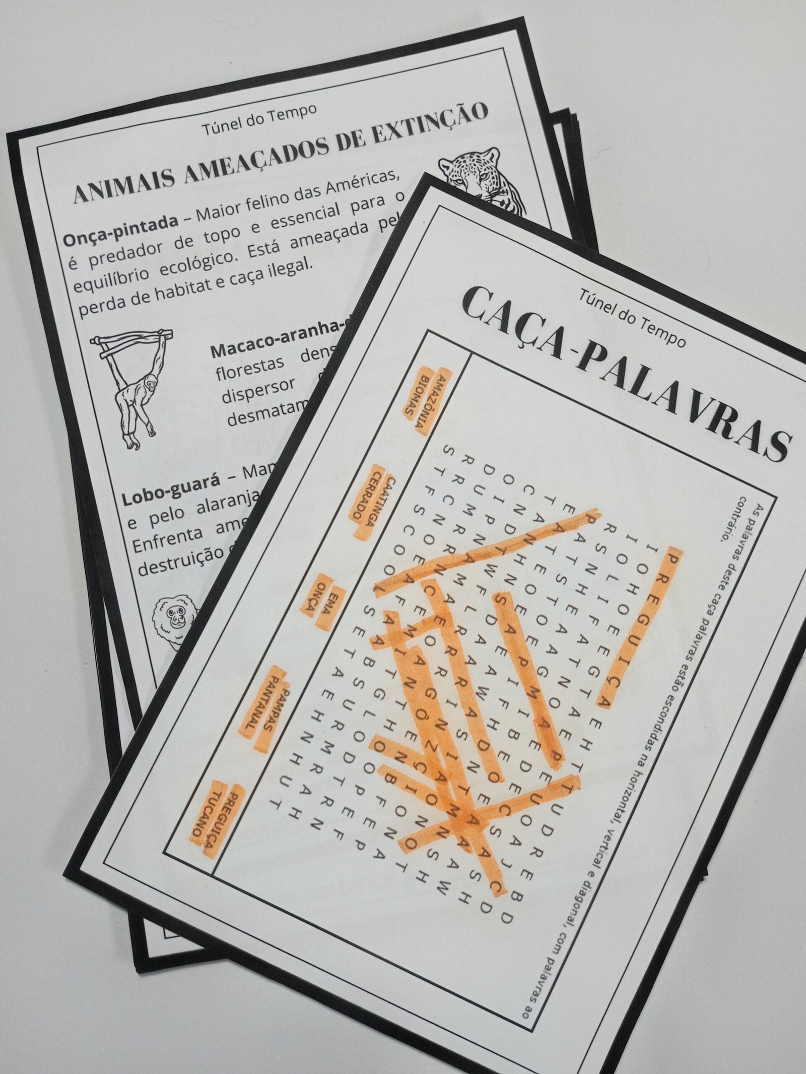 Álbum de Figurinhas - Biomas - Imagem 4