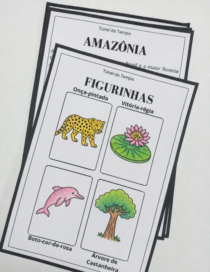 Álbum de Figurinhas - Biomas - Imagem 2