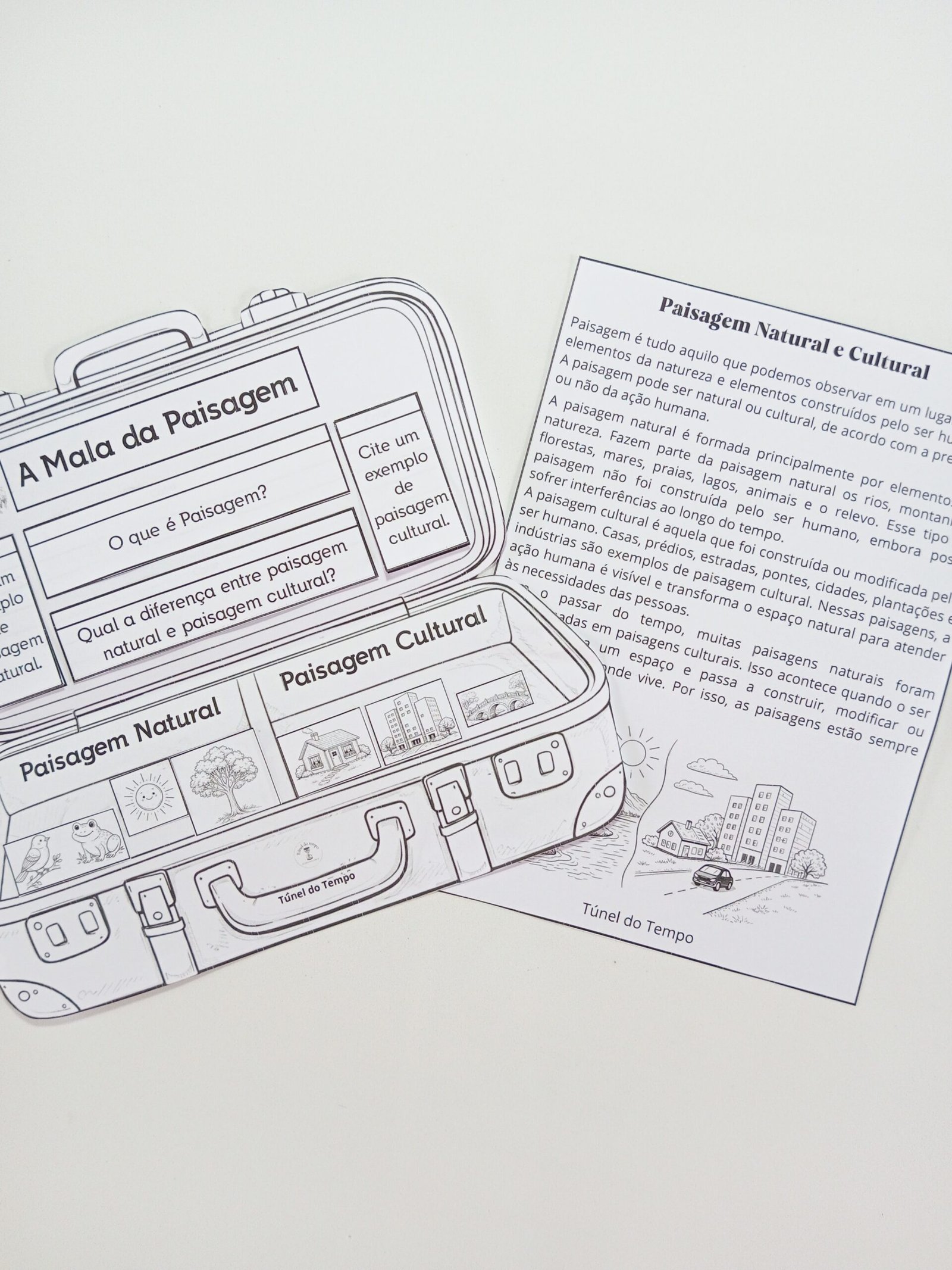 A Mala da Paisagem - Imagem 2