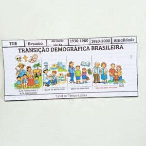 Transição Demográfica Brasileira