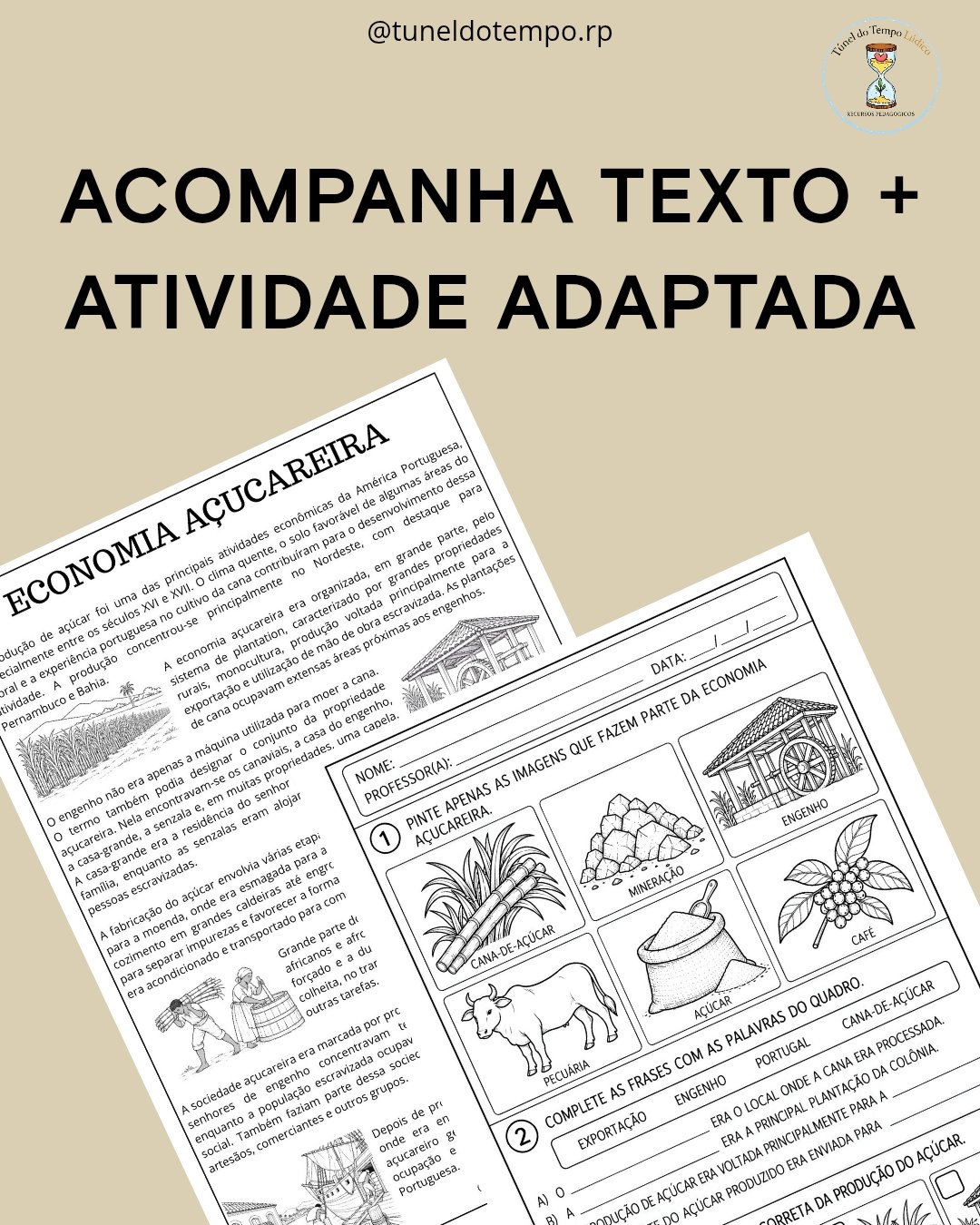 Economia Açucareira - Imagem 2