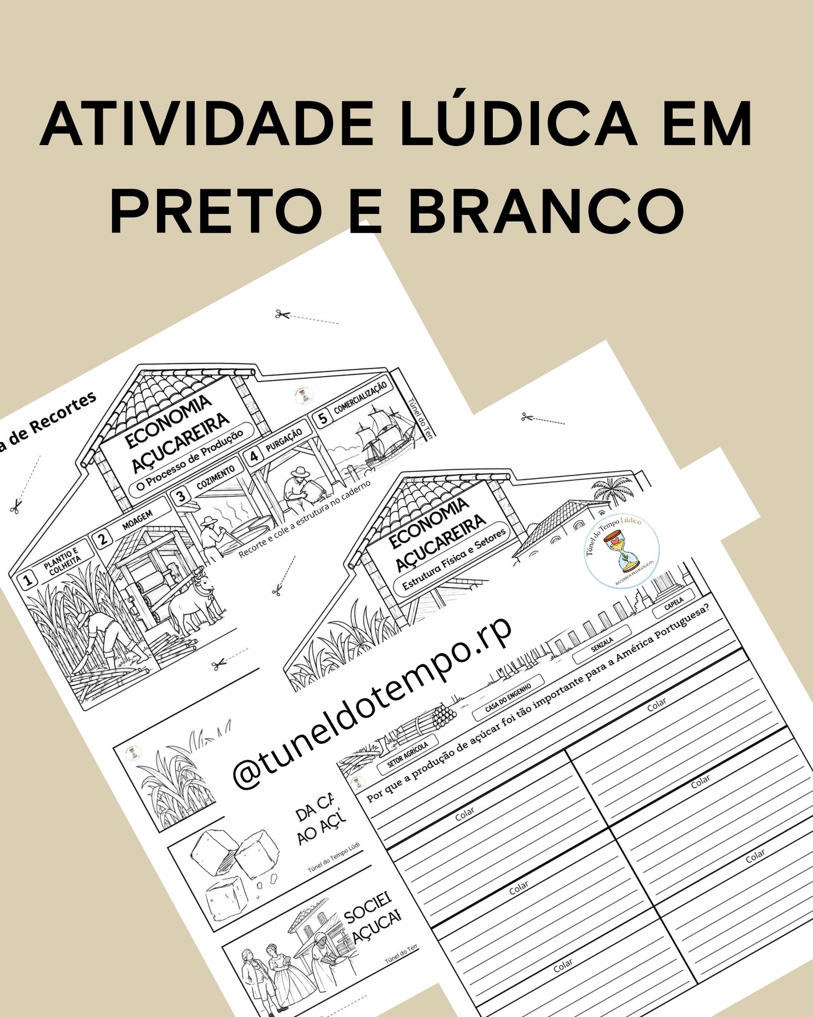 Economia Açucareira - Imagem 3
